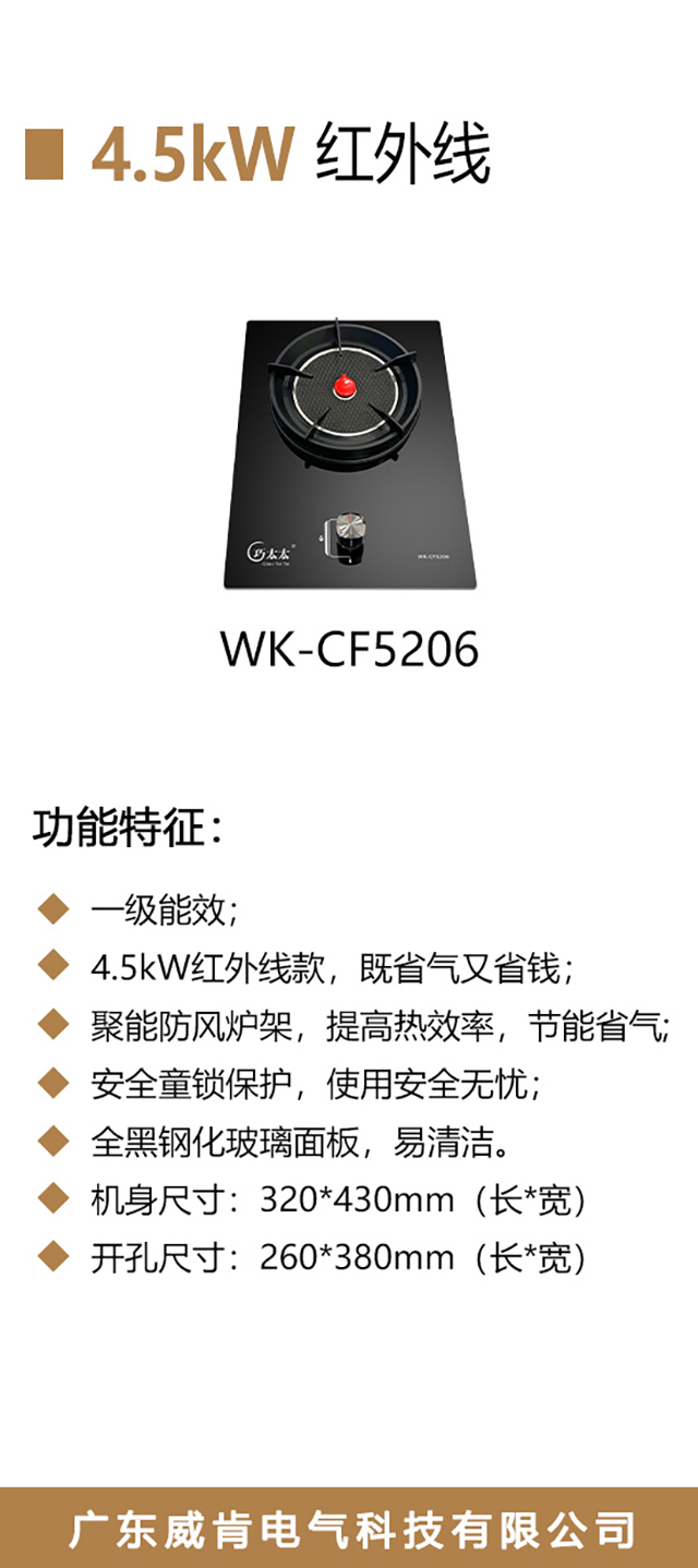 WK-CF5206-海报_02.jpg