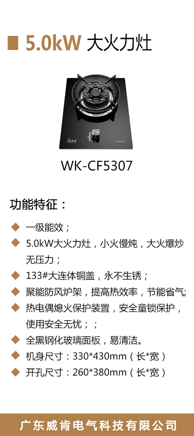 WK-CF5307-海报_02.jpg