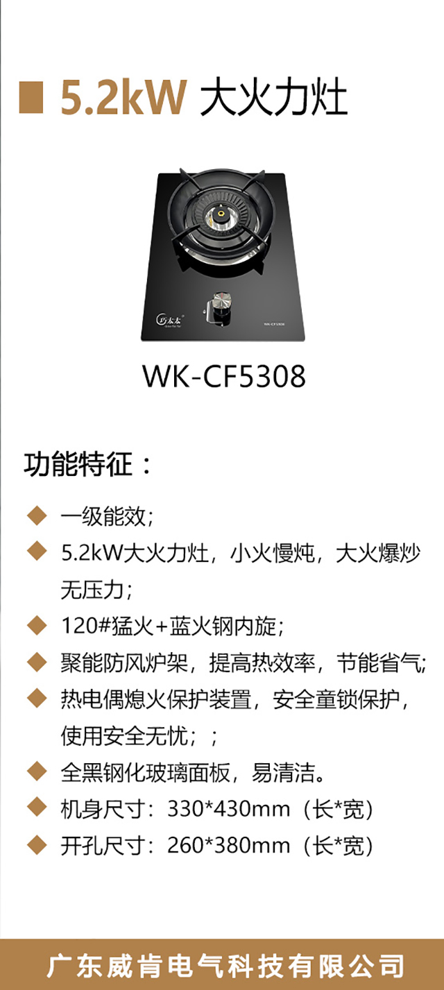 WK-CF5308-海报_02.jpg
