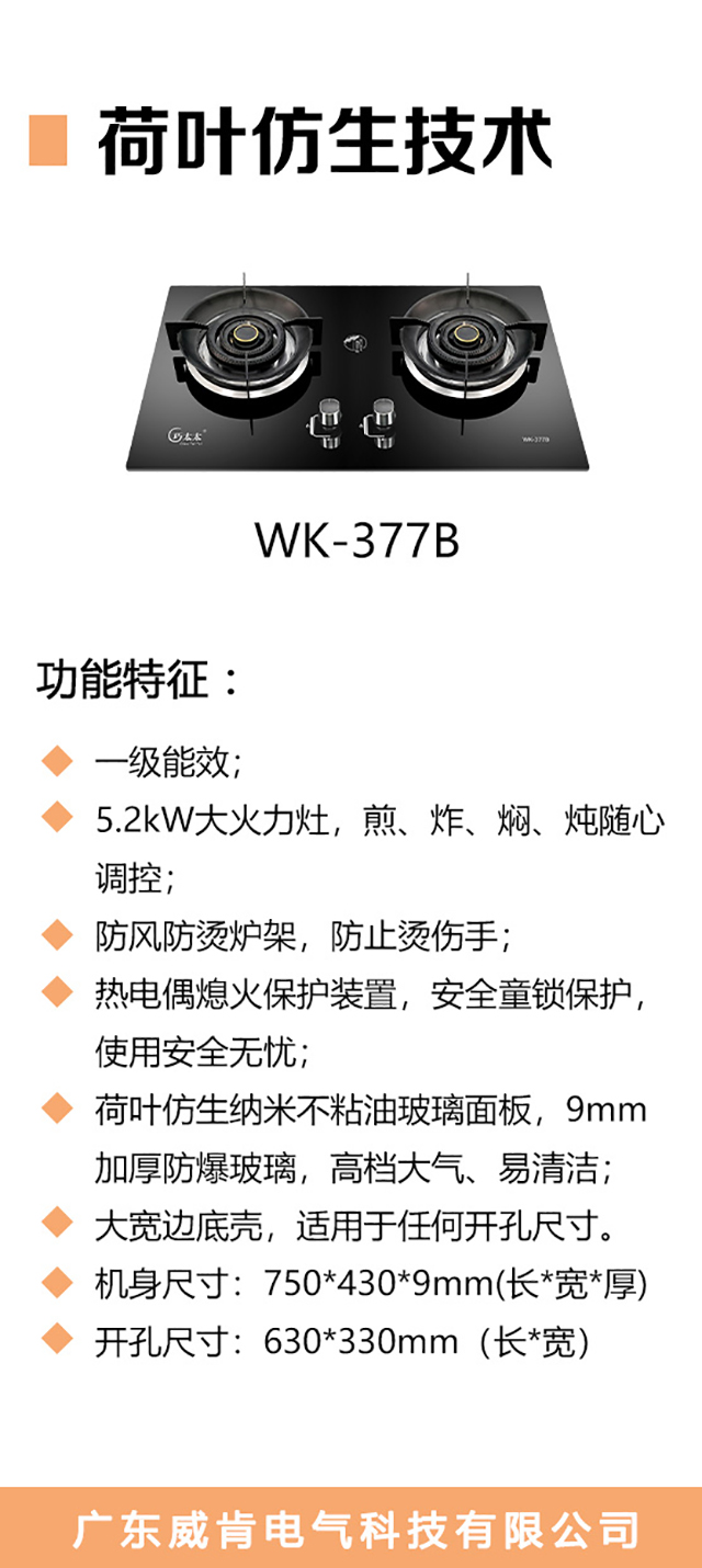 WK-377B-海报_02.jpg