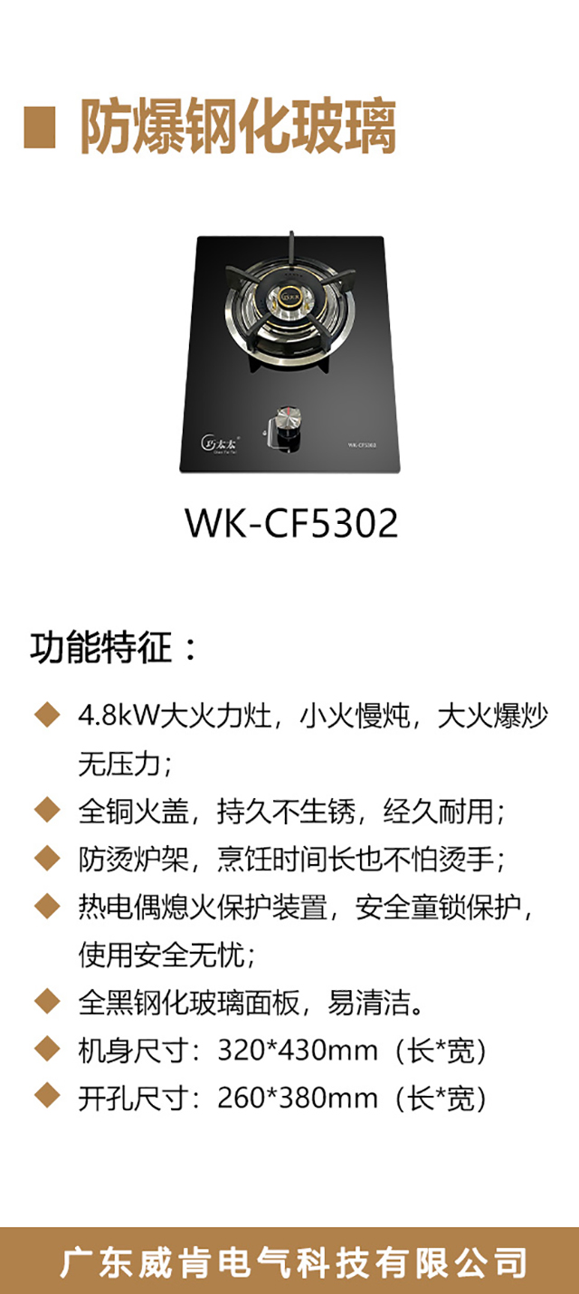 WK-CF5302-海报_02.jpg
