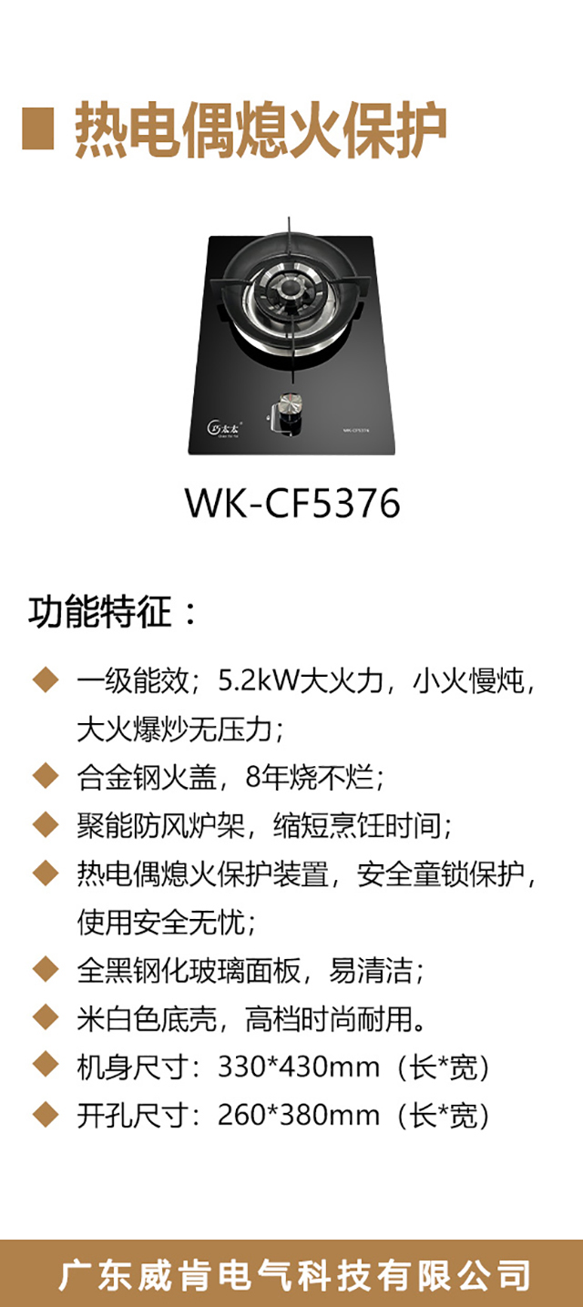 WK-CF5376-海报_02.jpg