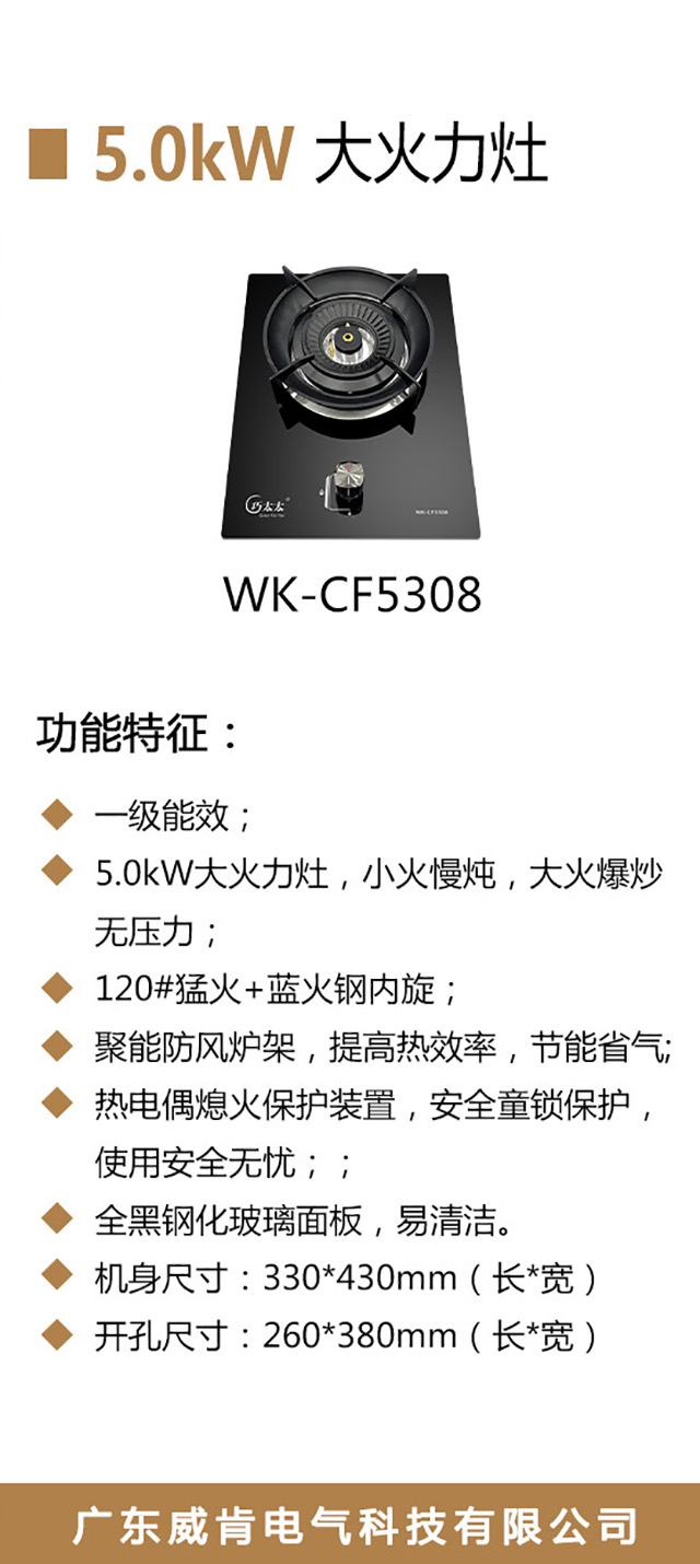 WK-CF5308-海报_02.jpg